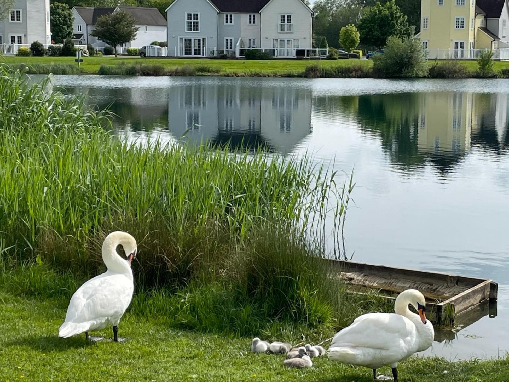 Luxury Kingfisher Lodge, Isis Lake, Within The Cotswold Waterpark Cirencester Exterior photo